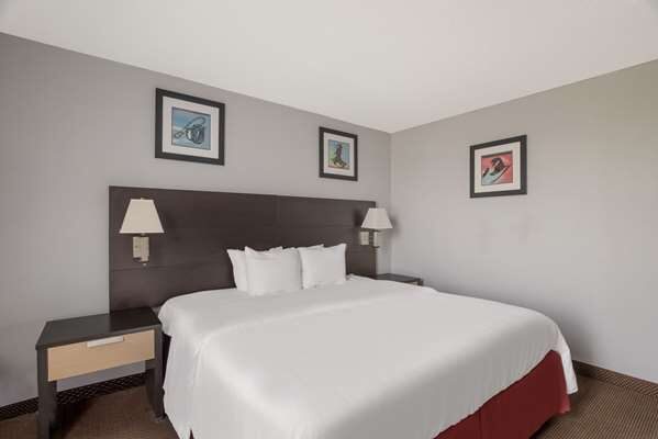 Room with one king bed