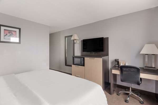 Room with one queen bed